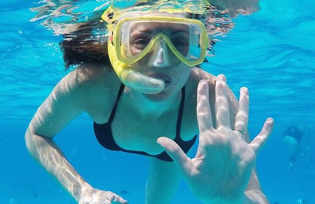 Cozumel: Private Snorkel Experience at Skyreef Beach Club