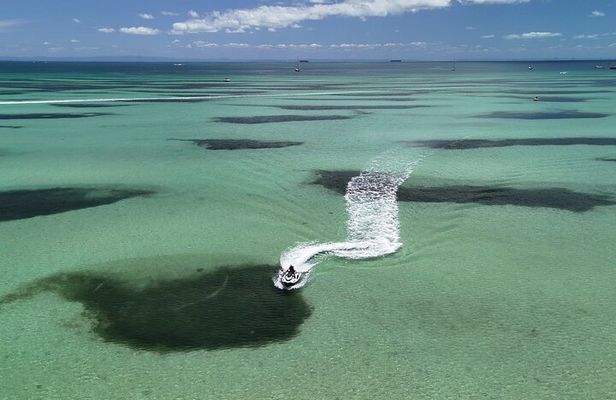 Kooringal Jet Ski Tour