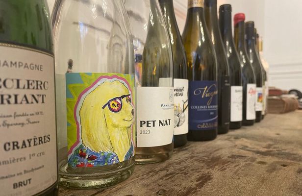 Wine Tasting in Lyon - Private Salon, 10 French Wines