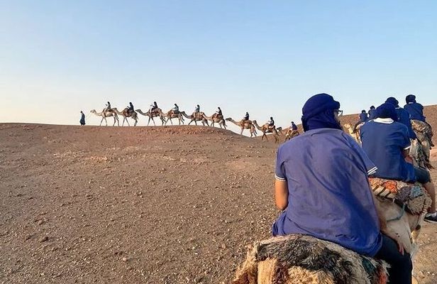 1h Quad + 1h Camel Ride + Dinner Show (Transport Included)