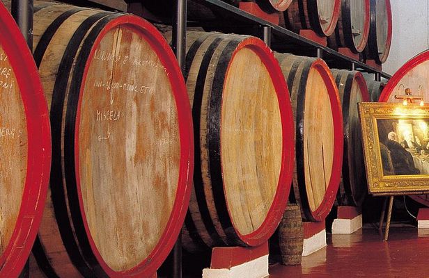 Reinforced Typical Food and Wine Tasting