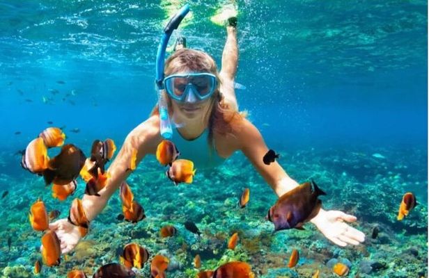 Sosua Snorkeling Adventure Tour with Guide and Gear Included