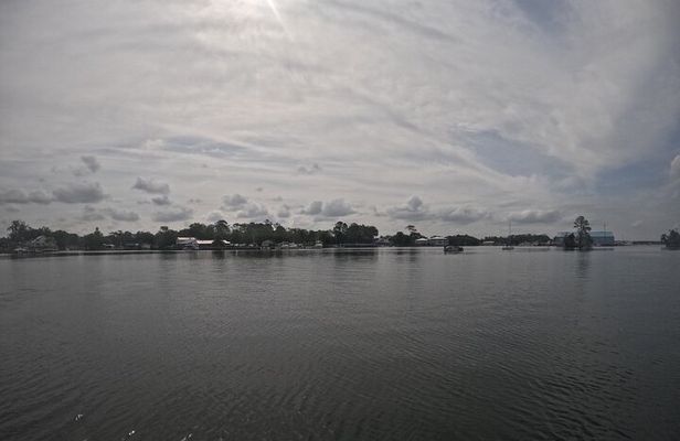 Crystal River: Kings Bay Eco/Sunset Tour
