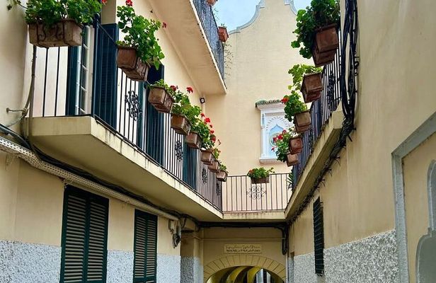 Private Day Trip VIP Tour to Tangier from Tarifa or Algeciras