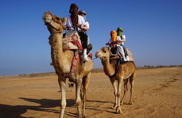 Full-Day Trip to the Small Desert