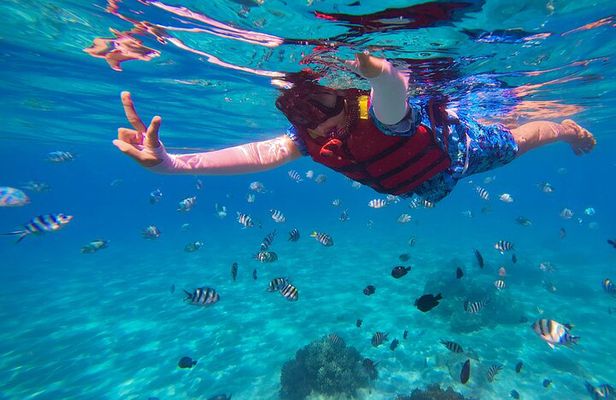 Nusa Penida Snorkeling: Manta Point & Island Day Trip 