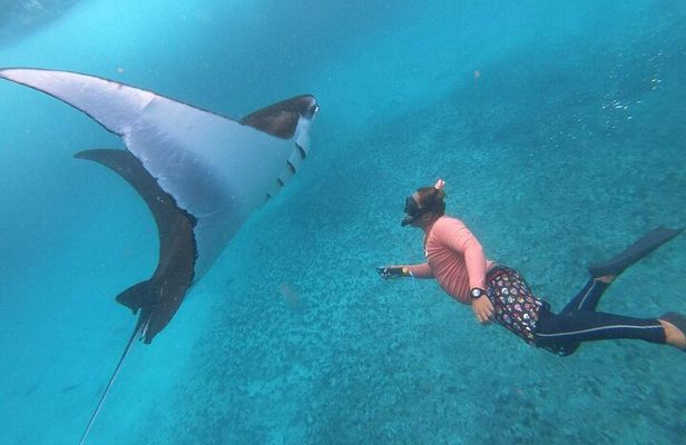 Nusa Penida Snorkeling: Manta Point & Island Day Trip 