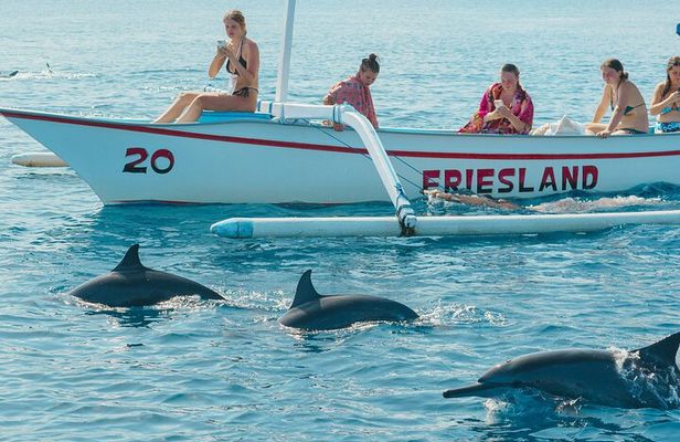 North Bali Expedition: See Dolphins, Hot Springs & Wanagiri Hills