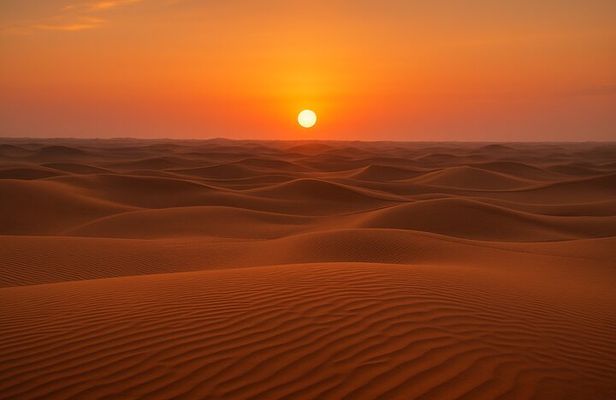 Wahiba Sands Desert Adventure Dune Drive and Camp