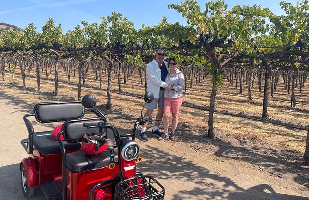 Kenwood Wine Country Electric Trike 3 Hours Tour