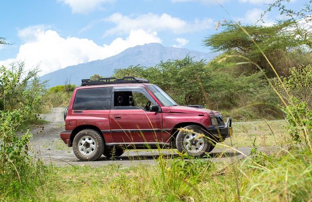 Day Safari to Arusha National Park in ‘Little Red Rover’ 