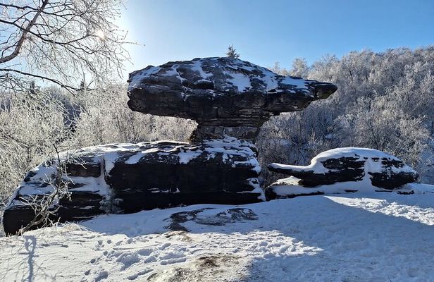The Best of Bohemian and Saxon Switzerland Day Trip from Dresden