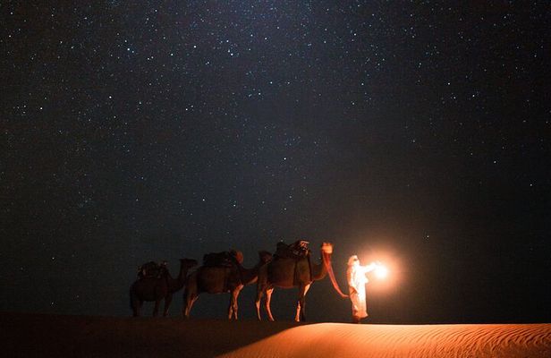 Qatar Night Desert Safari Dune Driving and Sandboarding
