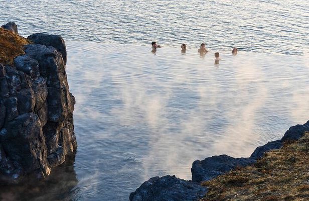 Golden Circle Elite: Friðheimar Tomato Farm & Sky Lagoon
