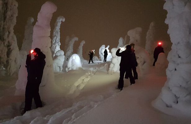 Arctic Night Snowshoeing - Stars and Northern Sky