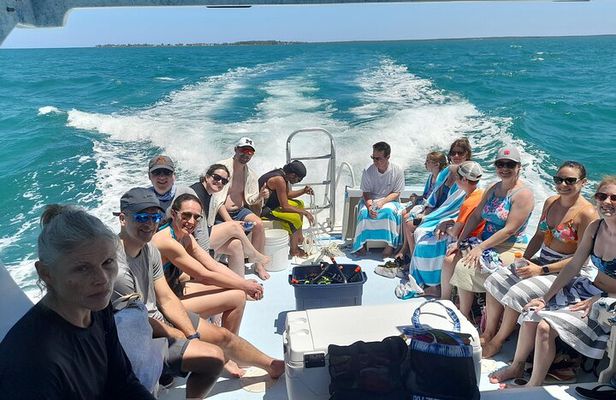 Stingray City Sandbar 4.5 hr Snorkel Tour and Seven mile Beach