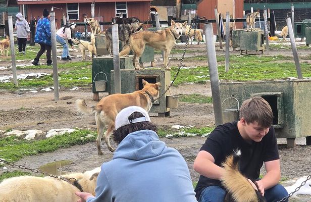 Chena Hot Springs Day Adventure 