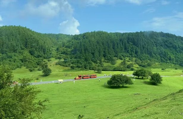 Wulong Day Trip Scenic Views Natural Bridges and Local Cuisine