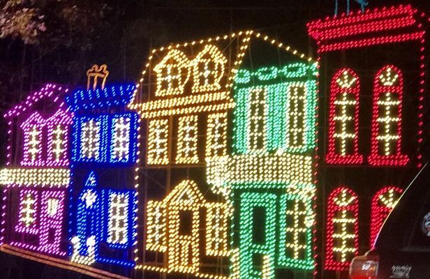 Charleston Festival of Lights with Small Group Transportation