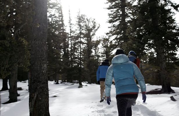 Rocky Mountain National Park - Private Hiking Tour
