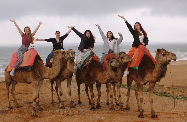 4 hour private Tour of Tangier