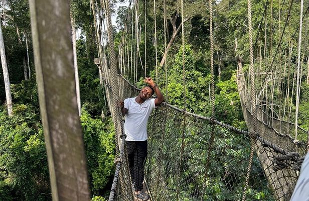 Canopy walkway ,Elimina Castle and Cape Coast Castle DayTour