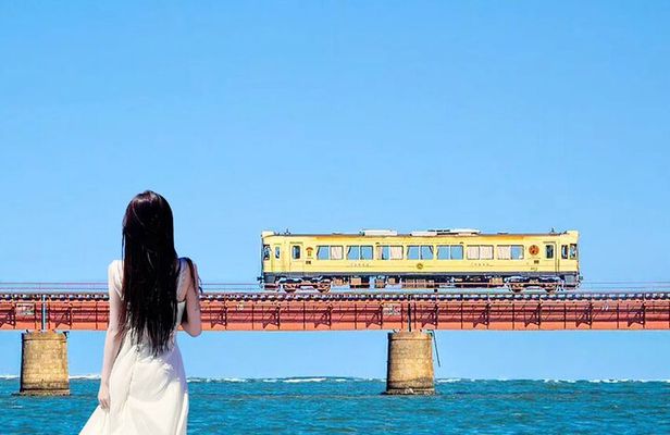 Kyoto Sea Scenic Train Ride and Coastal Exploration