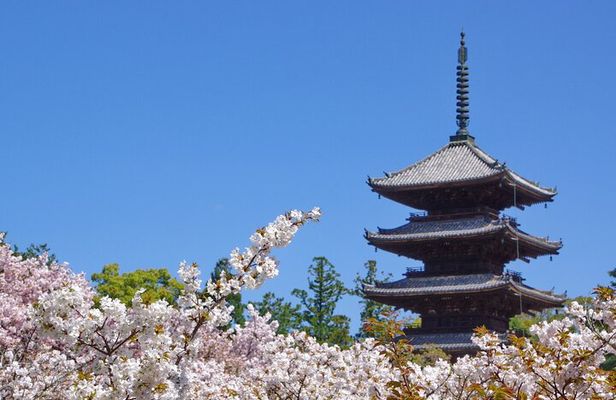 Kyoto: Ninna-ji, Stunning Pagoda and Gardens Tour in 1.5h
