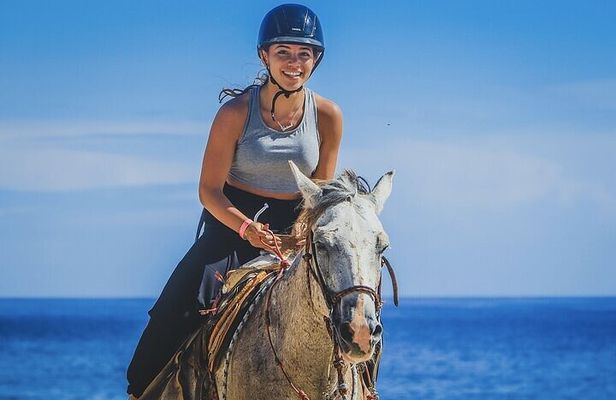 Hurghada Desert and Beach Horse Riding Tour: 2 Hours