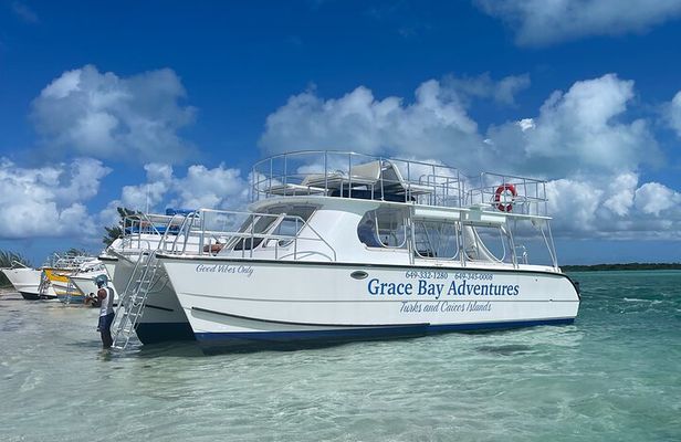 Group Catamaran 4 hr tour coral reef fun Iguana island adventure!