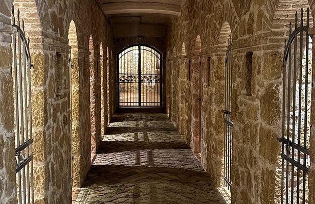 Athens wine tour: Wine museum and wine tasting with food pairing