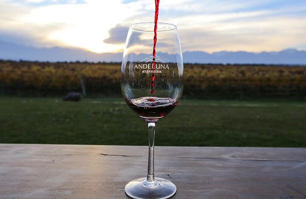 Uco Valley Wine & Bike Full Day Experience