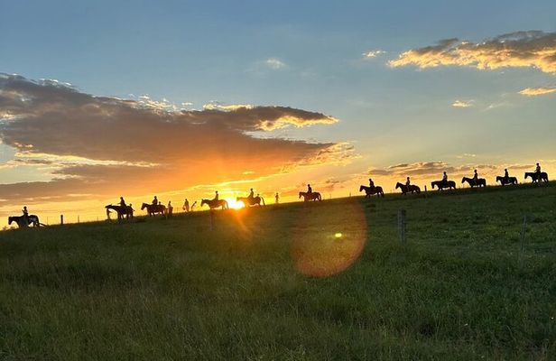 Hunter Valley Sunset Horse Ride - 90 Minutes