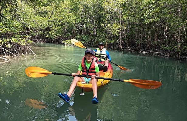 Koh Yao Yai Mangrove Forest Kayaking and Local Village with Lunch