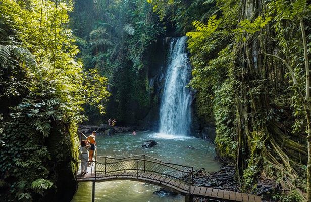 Ubud Full Day Tour with Entry Tickets