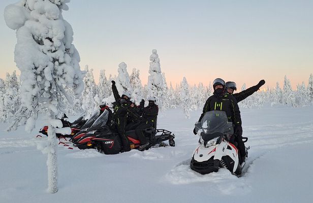 2-Hour Snowmobile Experience (Small Group of 8)