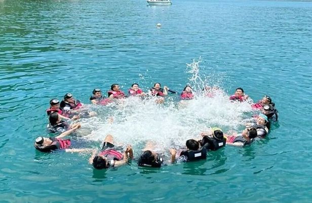 Discovery Cham Island Tour 1 Day From Da Nang & Hoi An