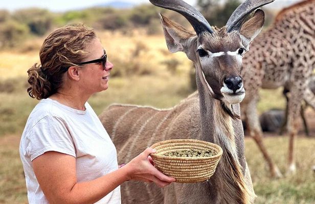 Arusha Serval Wildlife Sanctuary Tour with Pickup
