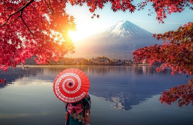 Hakone and Fuji Tour Fully Custom and Private with English Driver