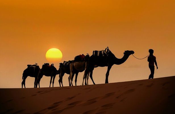 Three Days Desert Tour from Marrakech to Merzouga