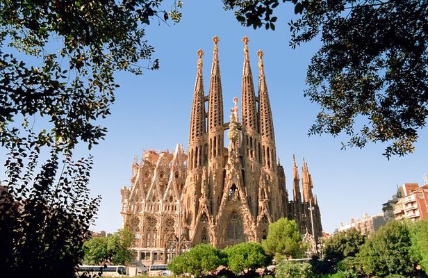 Taste of Barcelona Gourmet Tapas and Wine in the Gothic Quarter