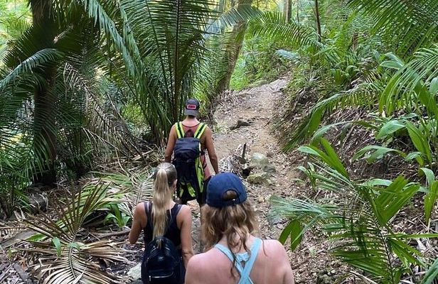 Biocultural Hiking Experience in Sayulita