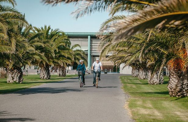 Coast to Country Winery Cycle Tour