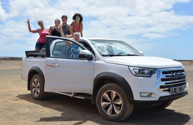 Private Tour to Sal Island Personalized Experience for Group