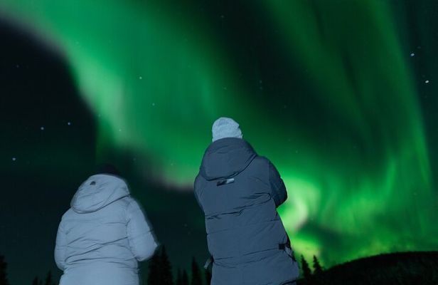 Northern Lights Rovaniemi: Guaranteed Tour with Local Guide