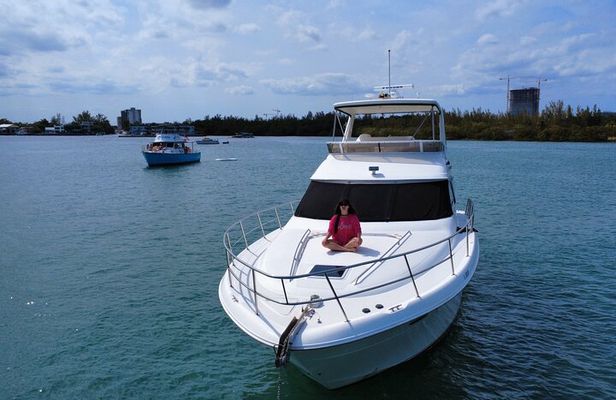 Miami Private 52 ft Boat Tour | Sandbar, Dolphins & Biscayne Bay!