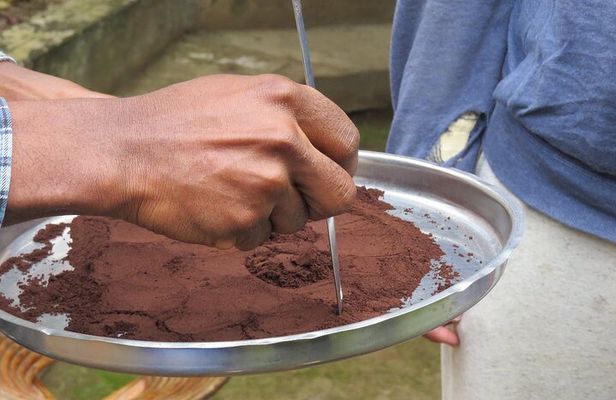 Authentic Arusha Coffee Experience