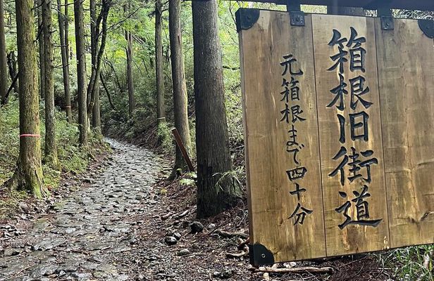 Hakone Old Tokaido Road Hiking Tour to Hakone Shrine