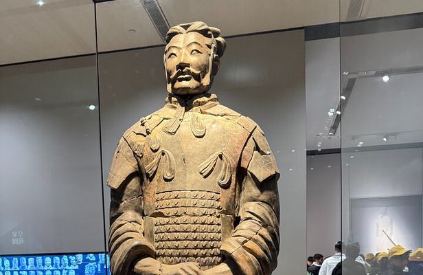 Terracotta tickets with professional guide in English /Italian 