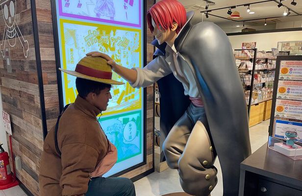 Private & Fully Customized Tokyo/Yokohama Tour